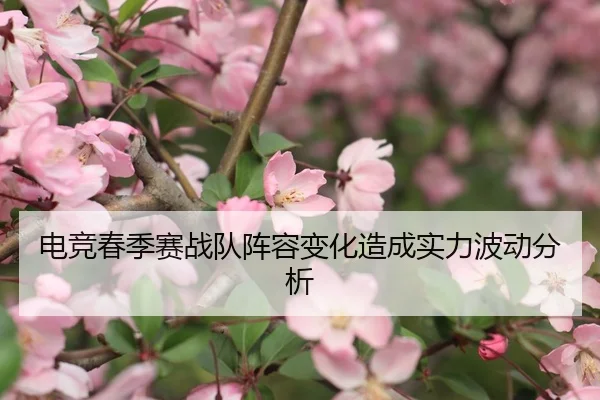 电竞春季赛战队阵容变化造成实力波动分析
